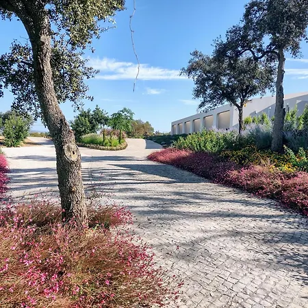 Sunny Hill מונקאראפאצ'ו