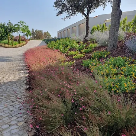 מלון דירות Sunny Hill מונקאראפאצ'ו