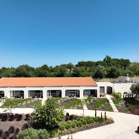 Sunny Hill モンカラパッショ